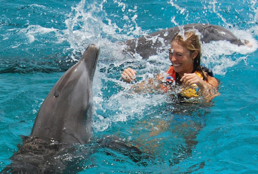 dolphin-encounter-high-period-8jan-9feb-26feb-22mar-15apr-5may-25may-2jun