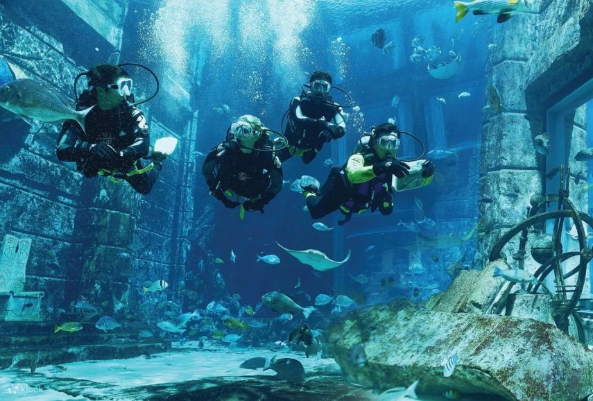 Explorer Dive-DUBAI